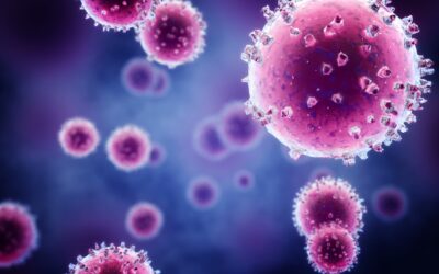 RSV Outbreak Update 17/07/2026